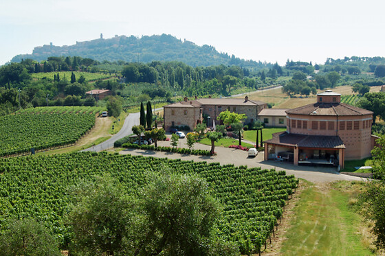 Casa Vinicola Triacca - photo 3