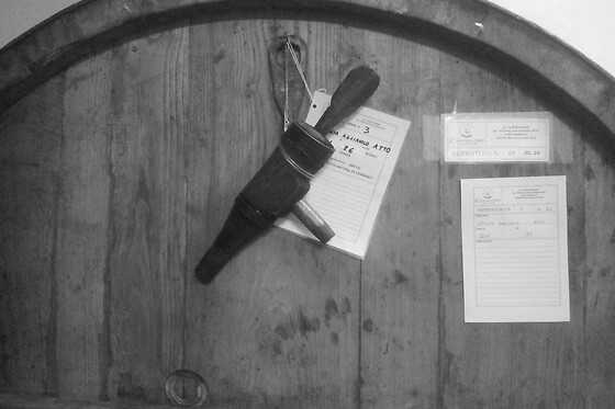 Il Cancelliere - photo 3