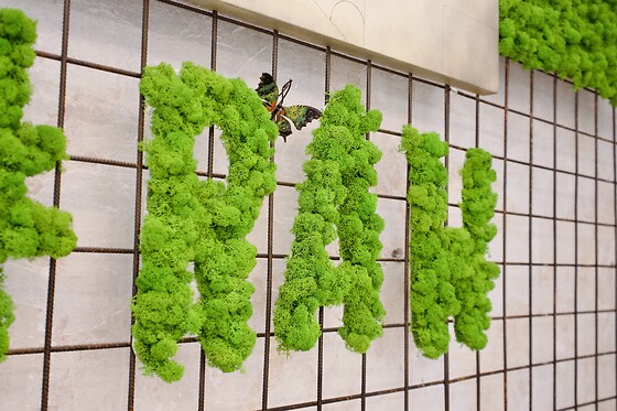 Raw Vegan Firenze - photo 1