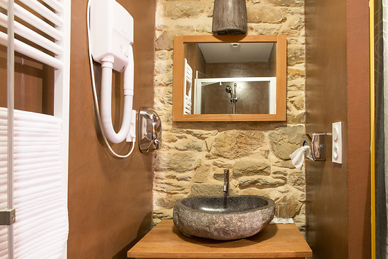 Manoir Desnachez - photo 17