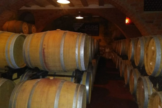 CURSO CATA DEL VINO - photo 0