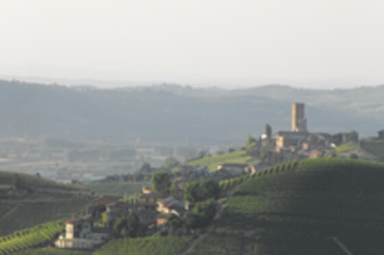 Azienda Agricola Cascina Albano S.S.A. - photo 1