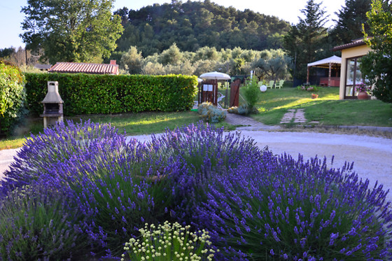 COUNTRY HOUSE NONNA RANA - photo 12