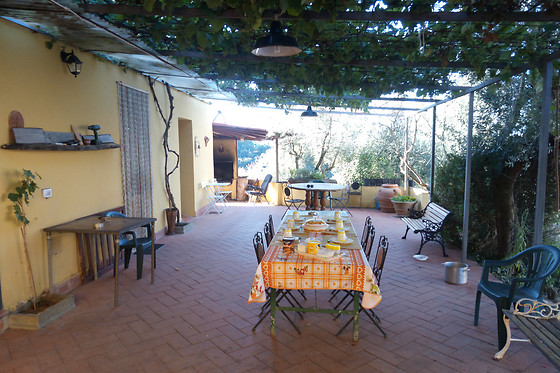 Il Cavallone Azienda Agricola - Azienda Agricola Il Cavallone di Nardi Francesco - photo 4