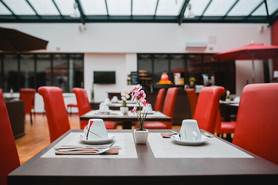 Zénia Hotel et Spa - photo 4