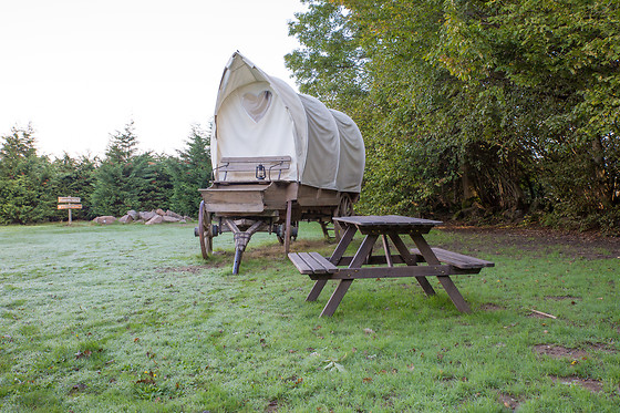 La Ferme Aventure - photo 7