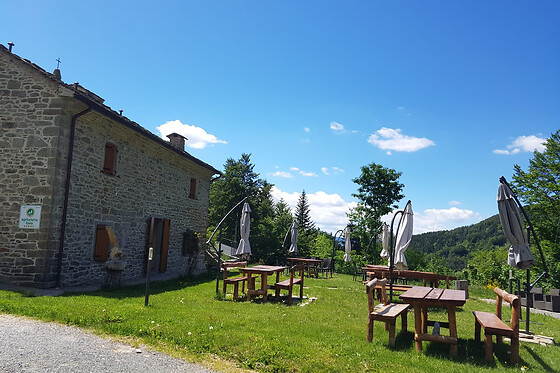 Alpe di Sara - photo 4