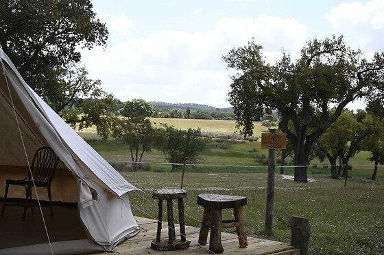 Direction South Glamping - photo 2