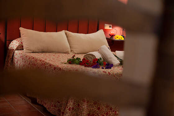 CASAS LA SUERTE - photo 20