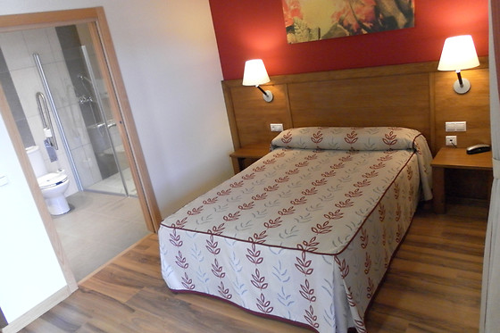 HOTEL MILAGROS RÍO RIAZA - photo 7