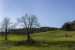 Domaine de la Trille