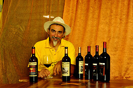 McCalin  vini artigianali