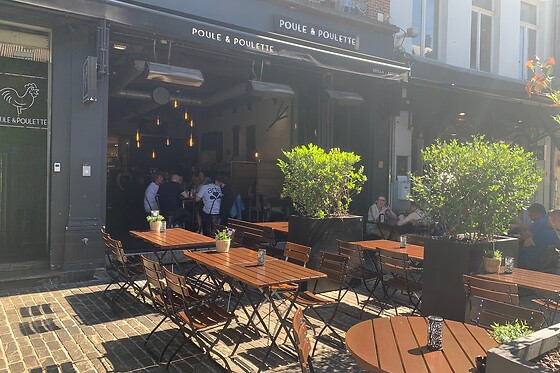 Poule & Poulette Gent (KM11) - photo 15
