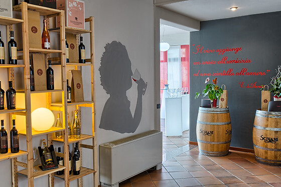 Hotel Valpolicella - photo 5