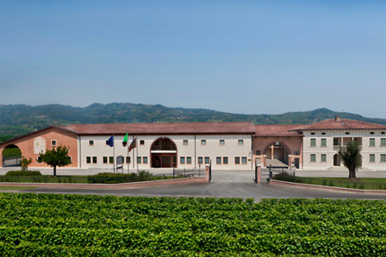 Azienda Agricola Ca' Rugate - photo 1