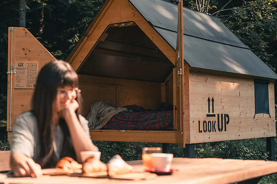 StarsBOX Forest Camp Val di Gresta - photo 2