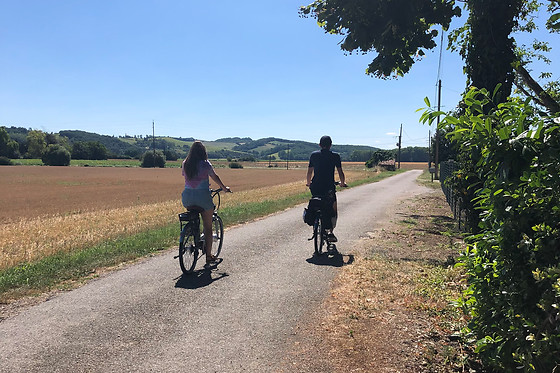 Le Vigné - photo 7