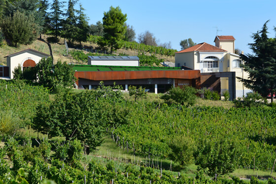 Azienda Agricola Elena Fucci - photo 4