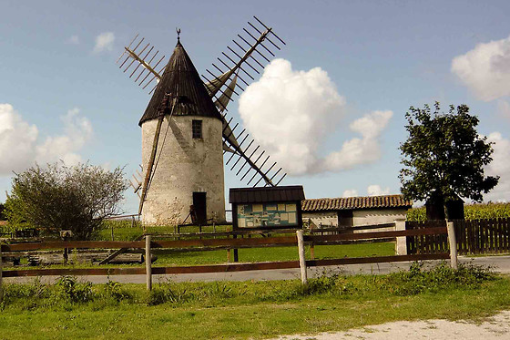 Aliénor - photo 16