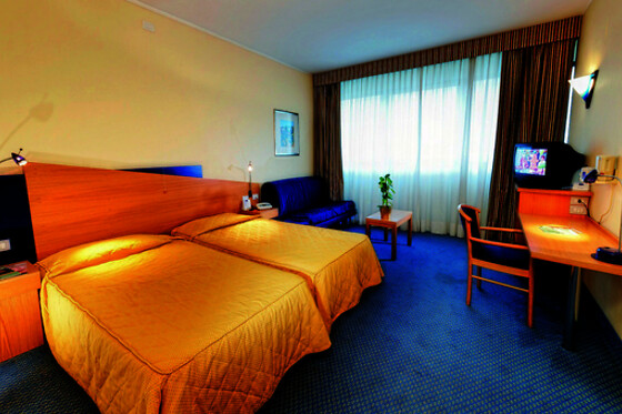 Hotel Express Aosta - photo 5