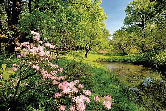 Hotel Perugina - photo 5