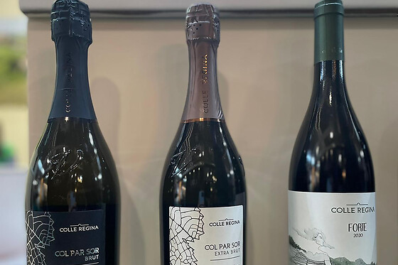 Colle Regina - photo 3