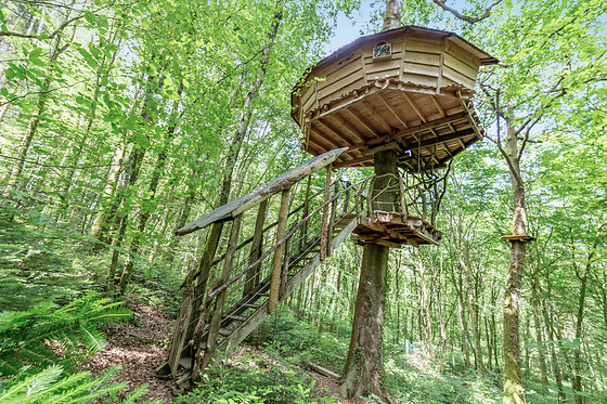 L'Arbre à Cabane - photo 12