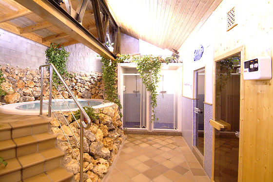 HOTEL PALACIO DE OÑATE SPA - photo 28