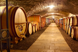 Domaine Famille Picard