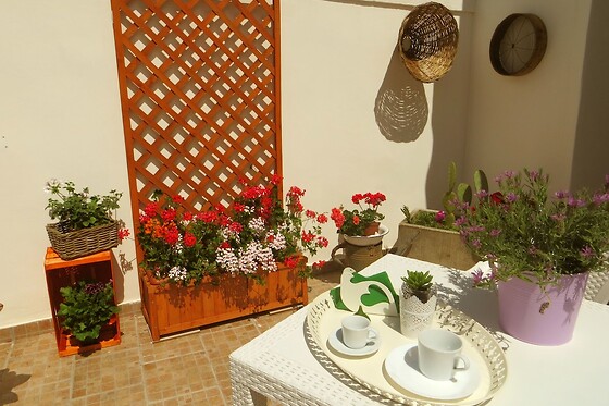 Online Booking EPS - photo 0