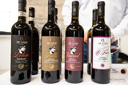 Tenuta De Lisio