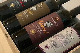 Tenuta De Lisio