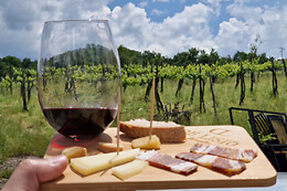 Tenuta De Lisio