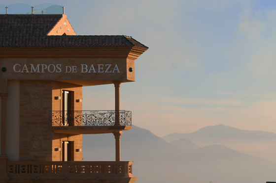 HOTEL CAMPOS DE BAEZA - photo 7