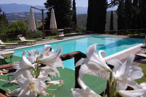 Agriturismo Borgo del Senatore - photo 1