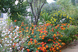 B&B S. Elia