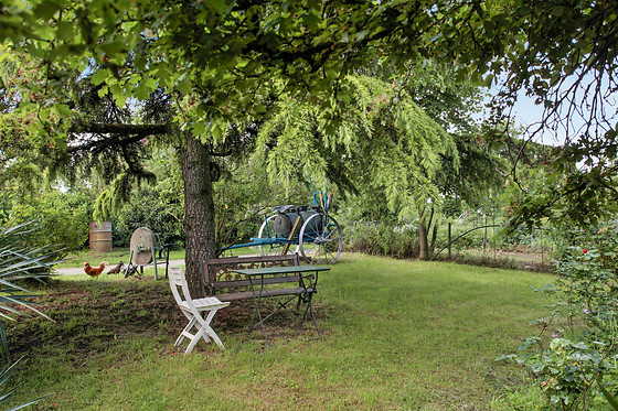 Ferme de La Borde - photo 15