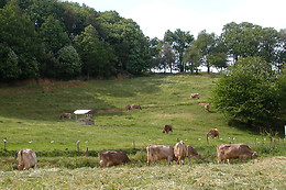 Azienda Agrituristica Lavagè