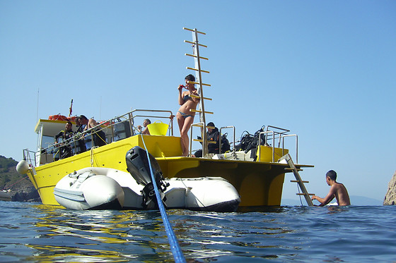 DIVE PARADIS - photo 2
