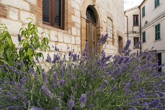 Il Sogno di Tino - photo 17