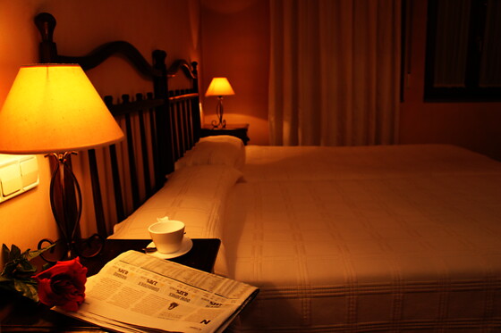 LA HOSTERIA DE CASTROVIEJO - photo 11