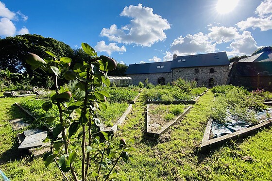 Le jardin zen du Quistillic - photo 18
