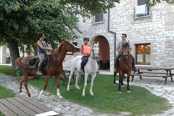 Agriturismo Il Casale - photo 15