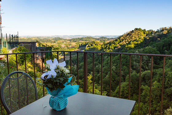 Bajaj - Cantina & Agriturismo - photo 9