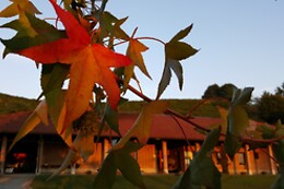 Antichi Vigneti di Cantalupo