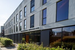 ADONIS DIJON