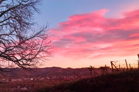 Cascina Perfumo - photo 7