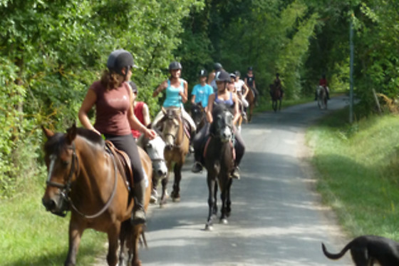 Un Poney, une histoire - photo 2