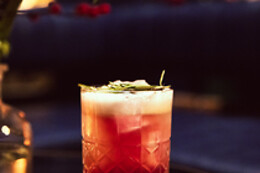 Dutch Courage Cocktails