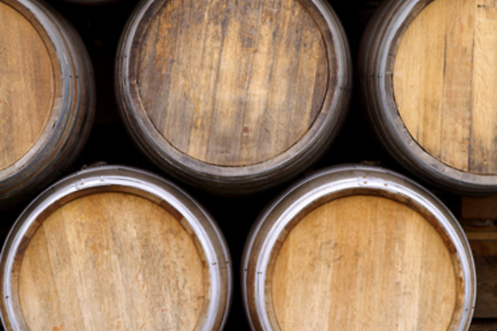 BODEGAS FINCA MONTEPEDROSO - photo 1